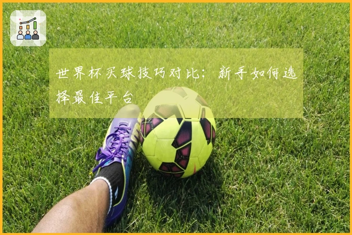 世界杯买球技巧对比：新手如何选择最佳平台