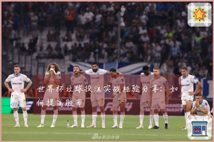 世界杯让球投注实战经验分享：如何提高胜率