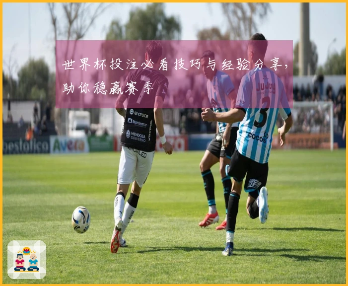 世界杯投注必看技巧与经验分享，助你稳赢赛季