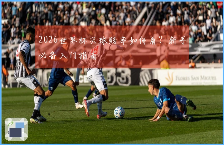2026世界杯买球赔率如何看？新手必备入门指南