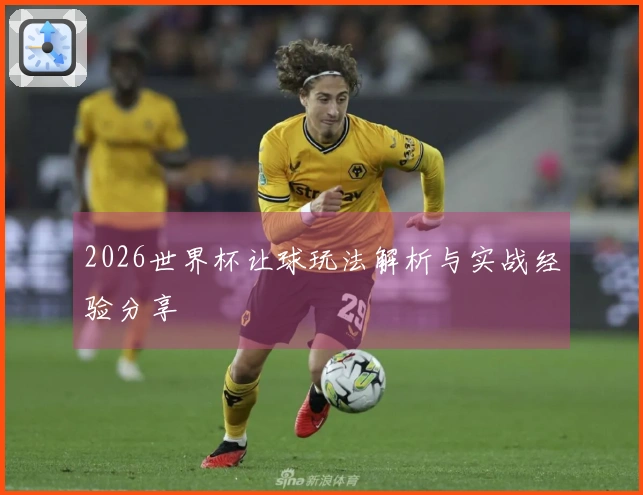 2026世界杯让球玩法解析与实战经验分享