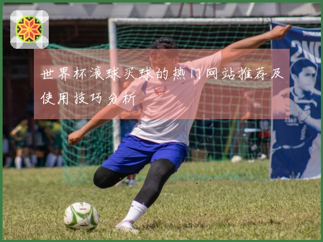 世界杯滚球买球的热门网站推荐及使用技巧分析