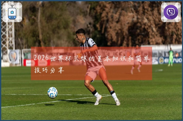 2026世界杯买球的基本知识和简单技巧分享