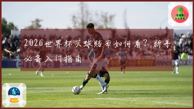 2026世界杯买球赔率如何看？新手必备入门指南