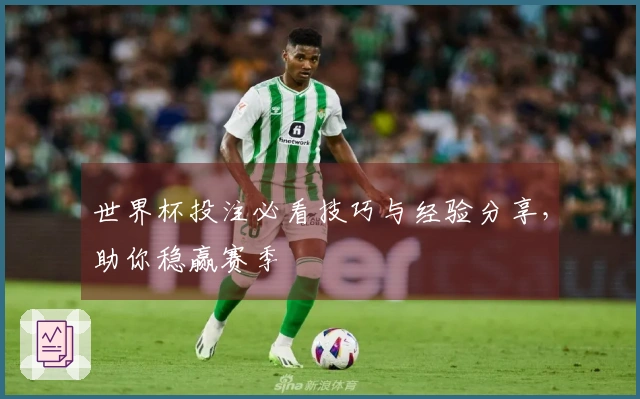 世界杯投注必看技巧与经验分享，助你稳赢赛季